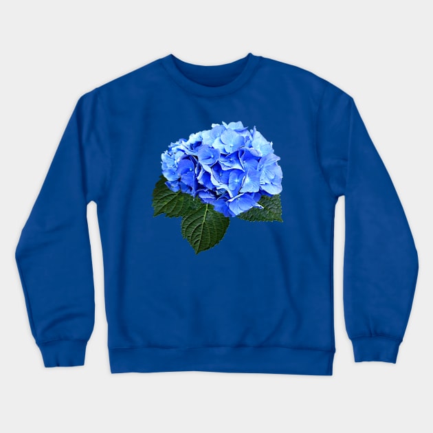 Beautiful Blue Hydrangea Crewneck Sweatshirt by SusanSavad